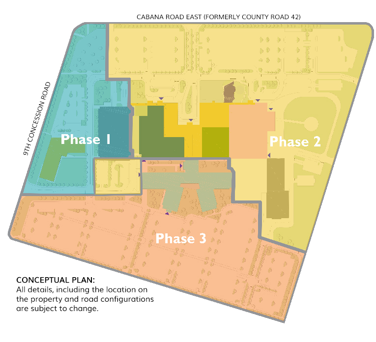 Site